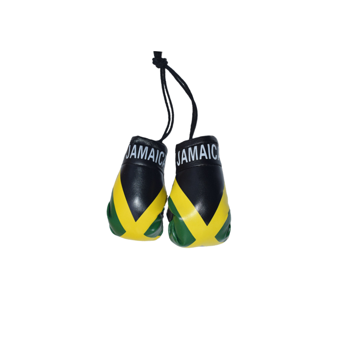 Mini Boxing Gloves (JAM) - Car Display