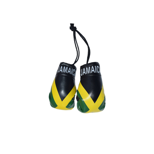 Mini Boxing Gloves (JAM) - Car Display