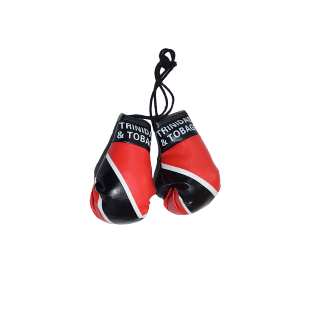 Mini Boxing Gloves (T&T) - Car Display