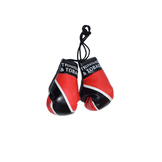 Mini Boxing Gloves (T&T) - Car Display